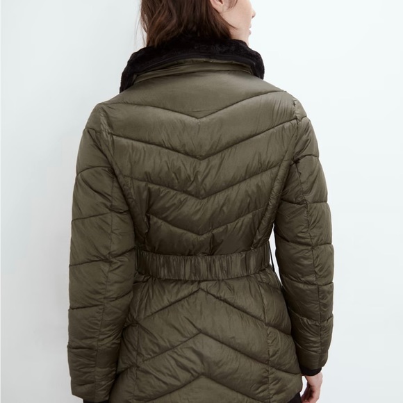 Belted Jacket - Picture 4 of 4